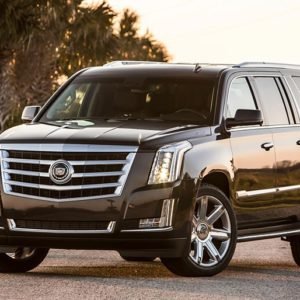 Free private airport transportation Cabo San Lucas villa rentals luxury service